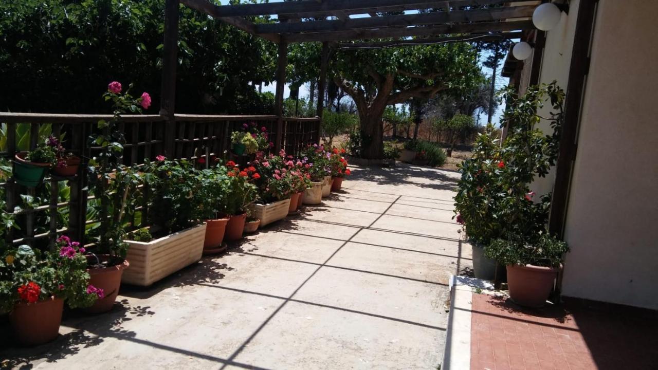 스코글리티 Il Gazebo B&B 외부 사진