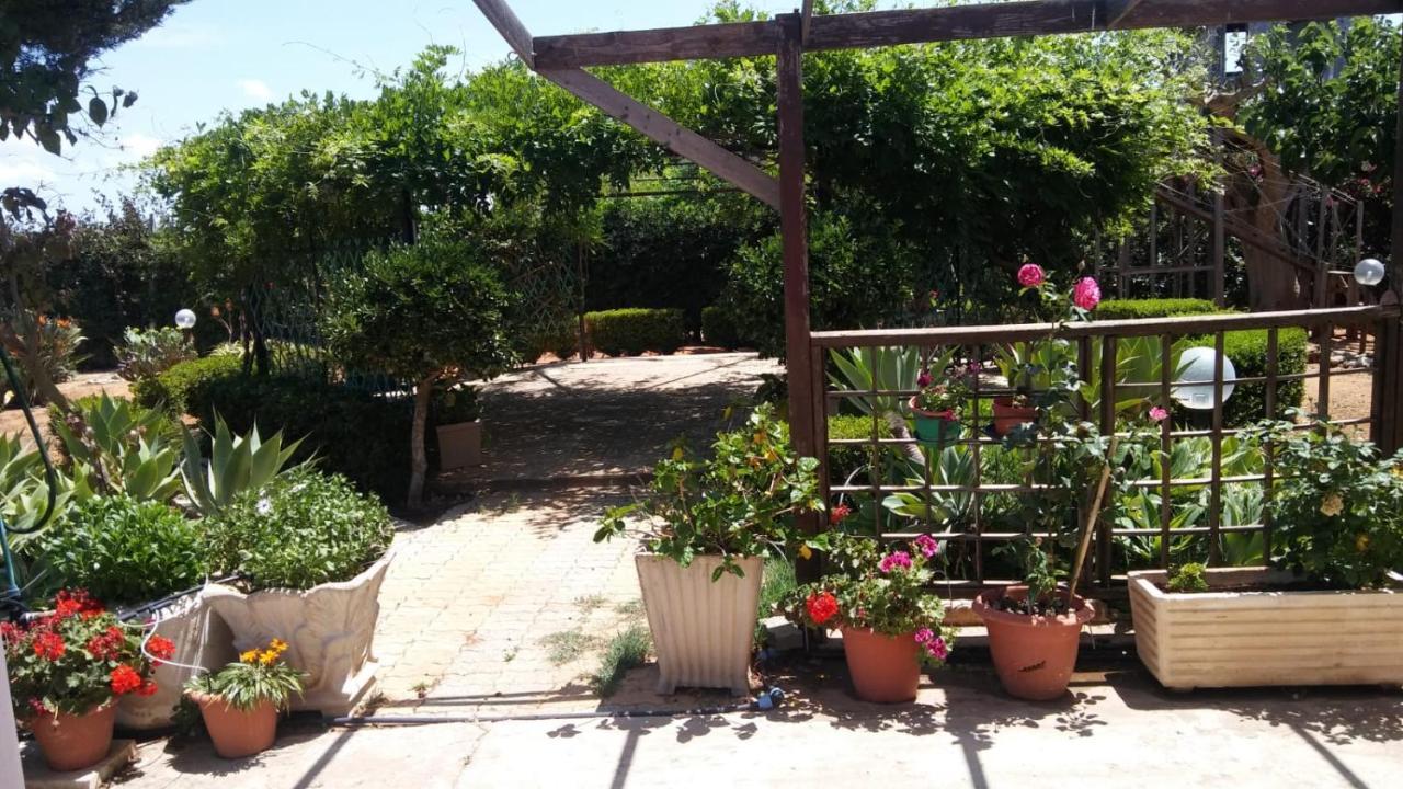 스코글리티 Il Gazebo B&B 외부 사진