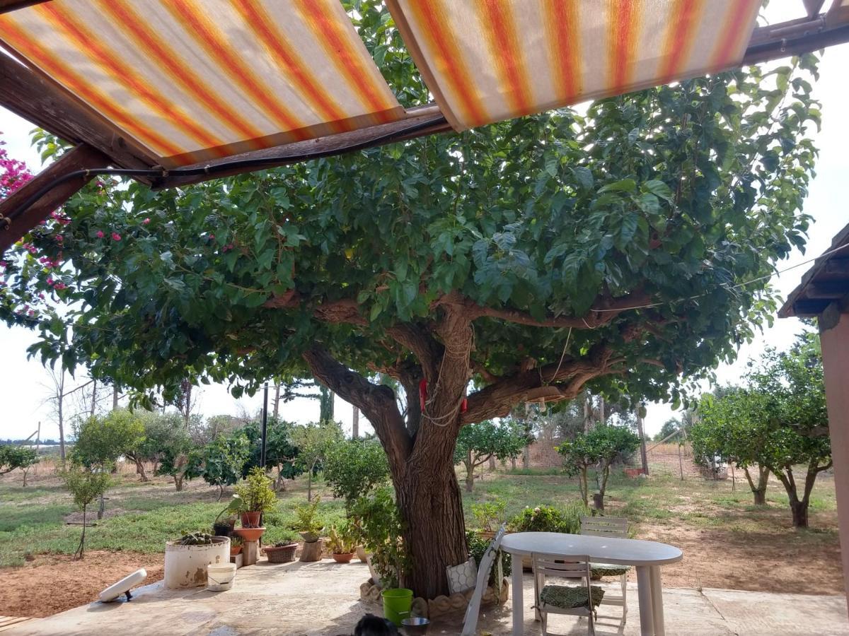 스코글리티 Il Gazebo B&B 외부 사진